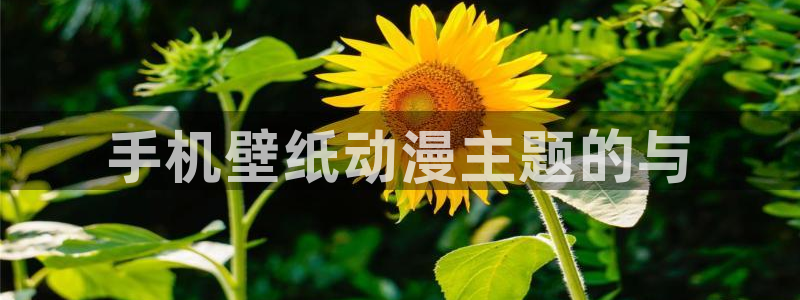 风车动漫里番：手机壁纸动漫主题的与