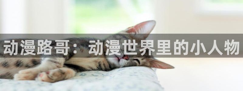 风车动漫手机：动漫路哥：动漫世界里的小人物