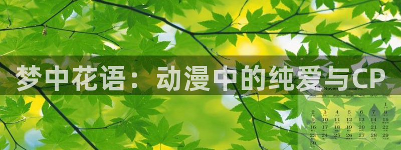 风车动漫官方网站：梦中花语：动漫中的纯爱与CP