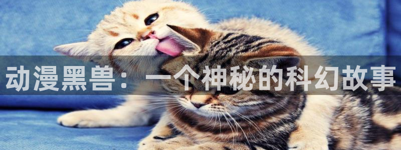 在哪下载风车动漫：动漫黑兽：一个神秘的科幻故事