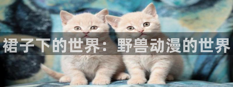 盾之勇者成名寻风车动漫：裙子下的世界：野兽动漫的世界