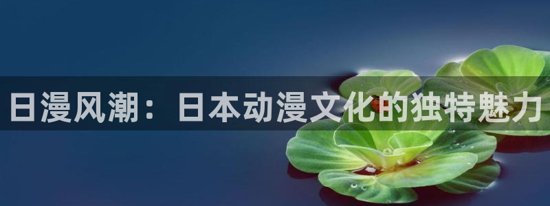 艳鉧动漫1~6风车动漫：日漫风潮：日本动漫文化的独特魅力