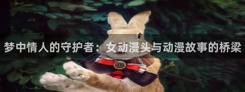 风车动漫动：梦中情人的守护者：女动漫头与动漫故事的桥梁