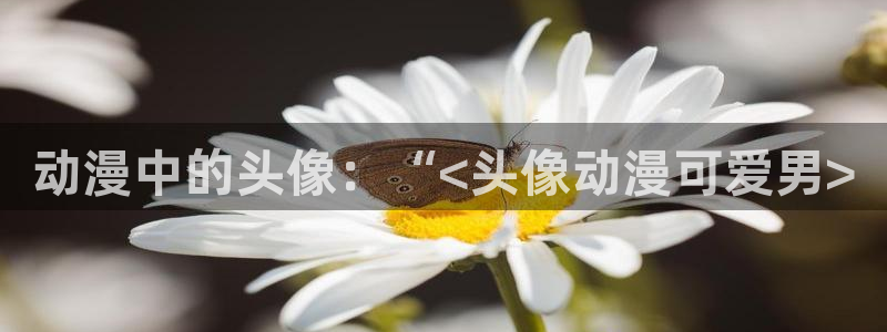风车动漫高清在线网：动漫中的头像：“<头像动漫可爱男>