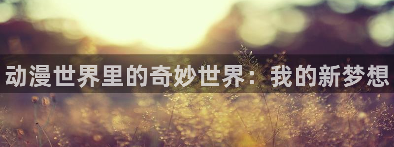 风车动漫2：动漫世界里的奇妙世界：我的新梦想