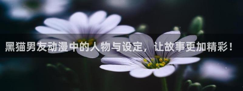 风车动漫在线观看网站：黑猫男友动漫中的人物与设定，让故事更加精彩！