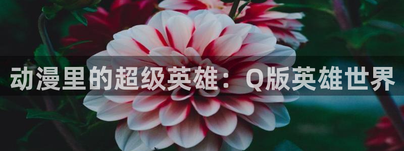 风车动漫网2026：动漫里的超级英雄：Q版英雄世界