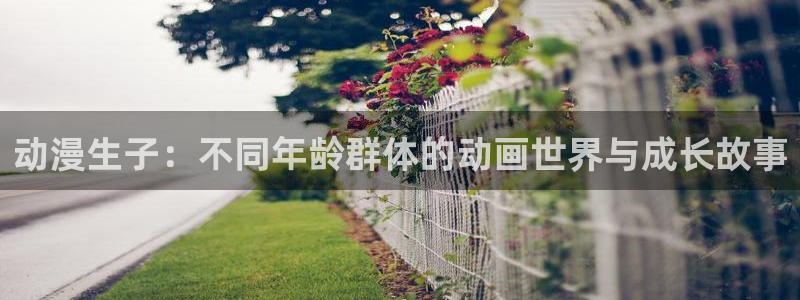 风车动漫在线看动画网页版：动漫生子：不同年龄群体的动画世界与成长故事