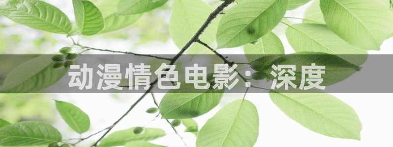 风车动漫网站(p)：动漫情色电影：深度